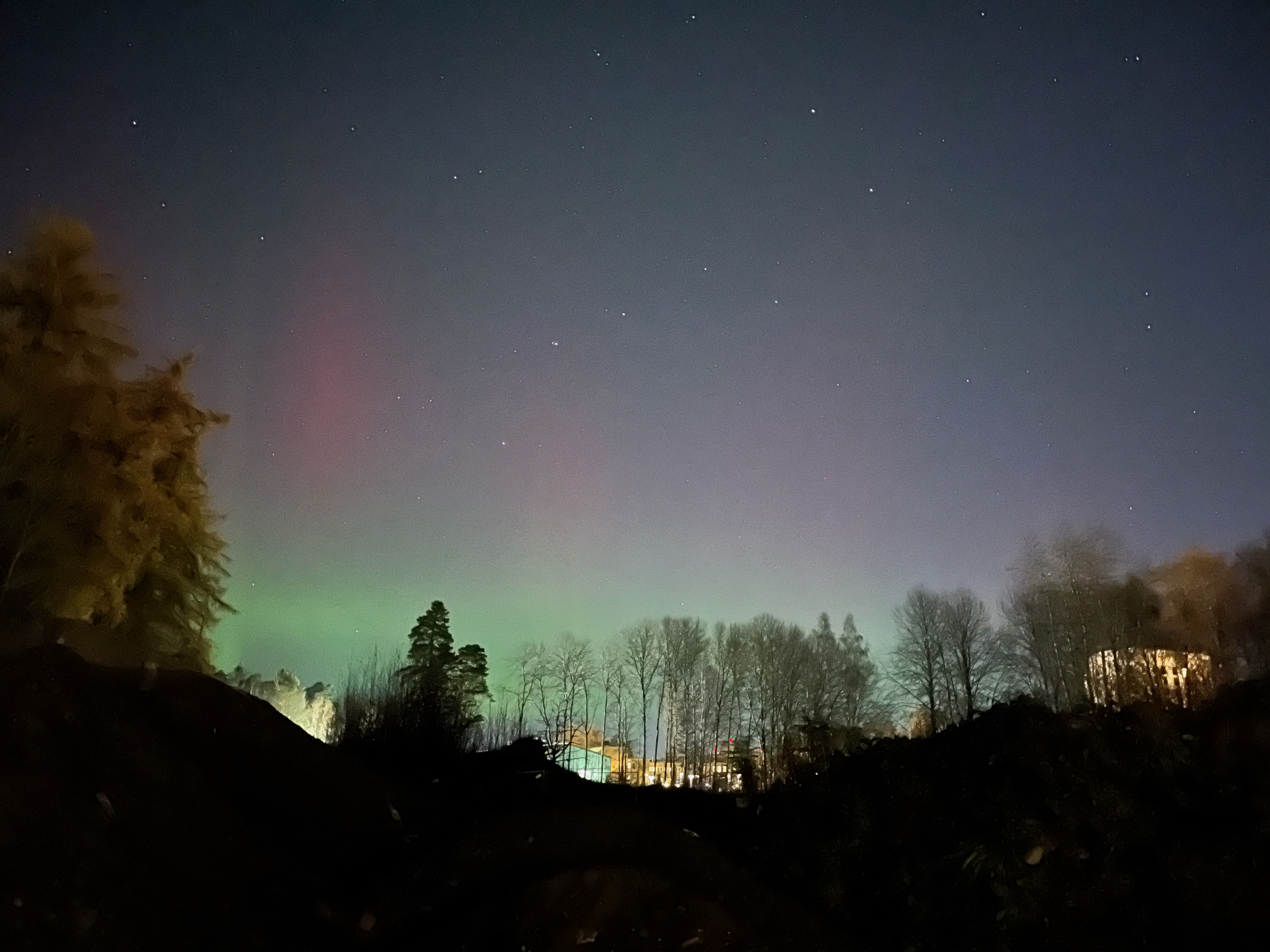 Polarlichter am Waldrand in Uppsala Polarlichter am Waldrand in Uppsala